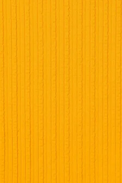 Vitamin A California High Leg Bottom Sunflower Pucker Rib